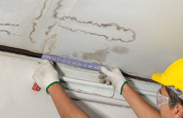 Affordable Water Damage Repair solutions in Romulus, MI